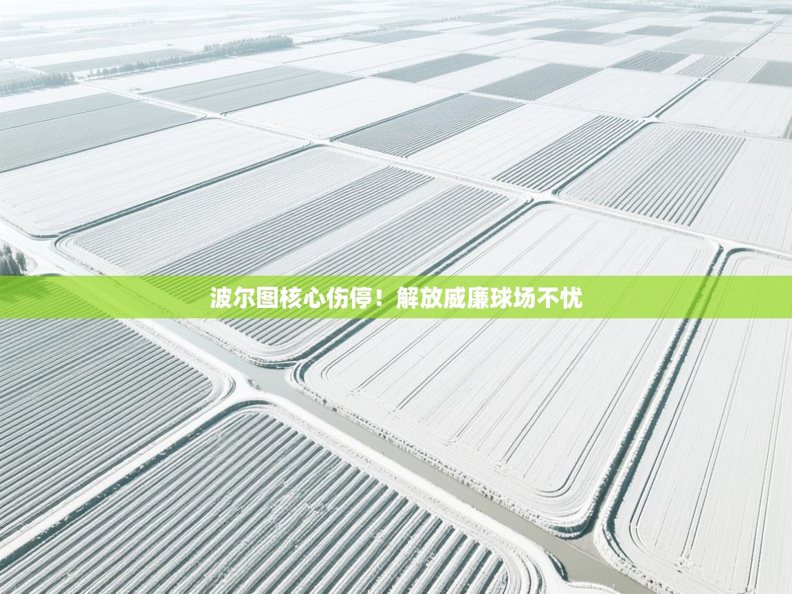 波尔图核心伤停!解放威廉球场不忧 第2张