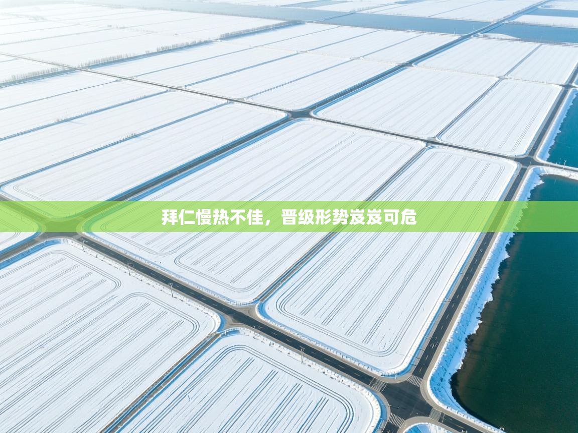 拜仁慢热不佳，晋级形势岌岌可危  第2张